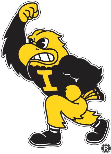Iowa Hawkeyes 2002-Pres Mascot Logo fabric transfers